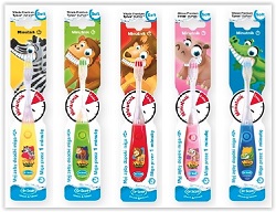 Dr Scott Szczot.d/zęb z minutnikiem *