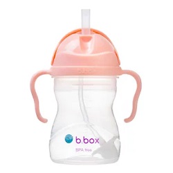 B.BOX Bidon Gelato Tutti Frutti 240ml (BBOX) *